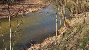 Korito Miljacke/Ilustracija/