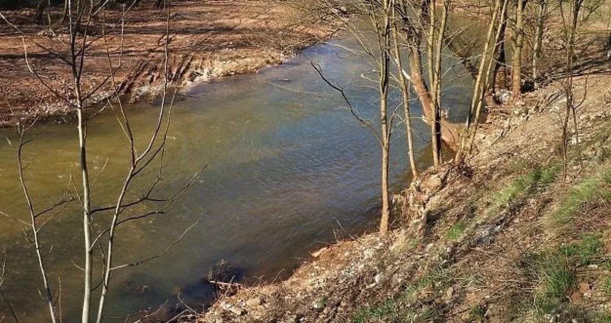 Korito Miljacke/Ilustracija/