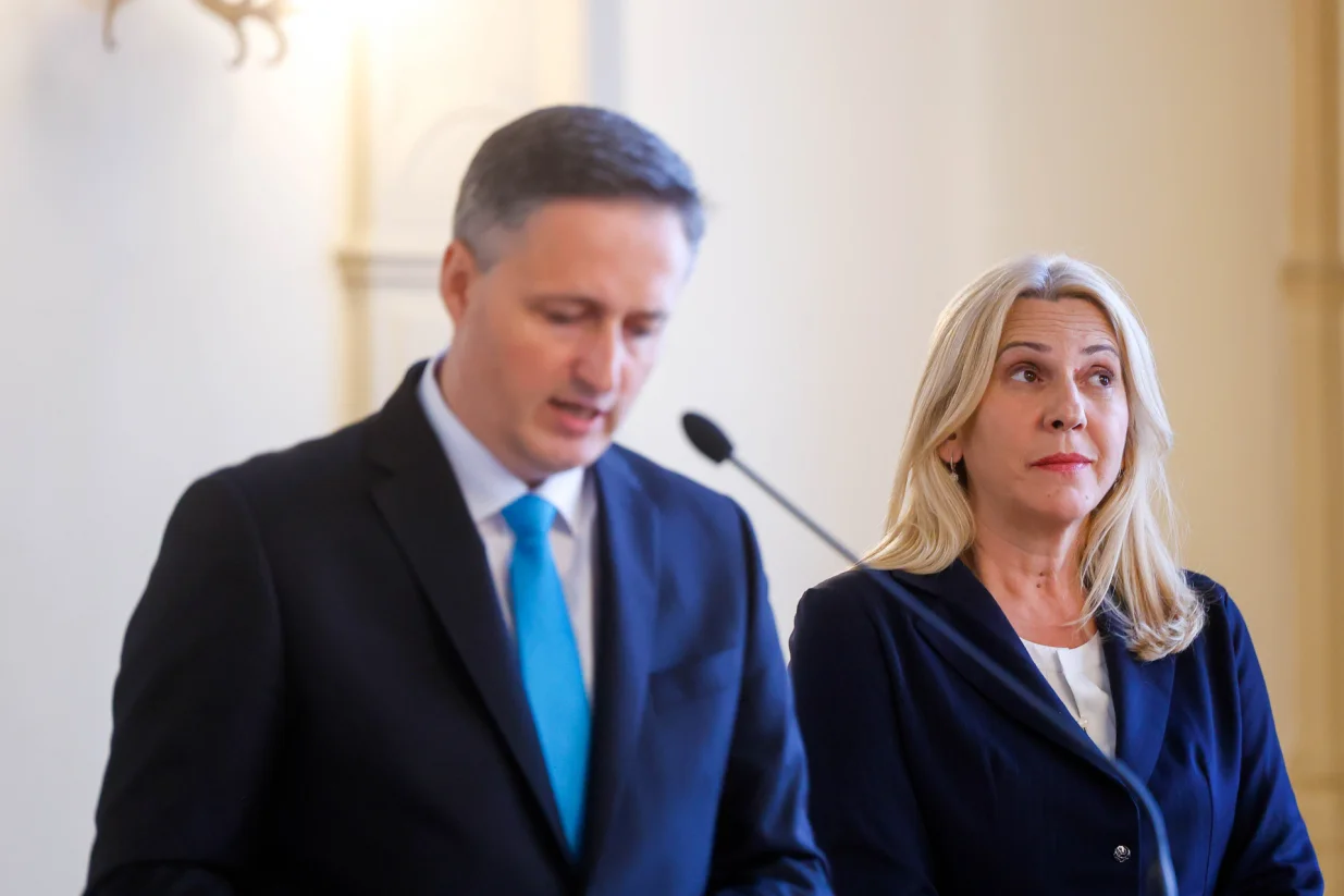 Bećirović upozorio na ozbiljnost situacije/Damir Deljo