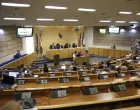 Dom naroda Parlamenta FBiH, sjednica/Senad Gubelić