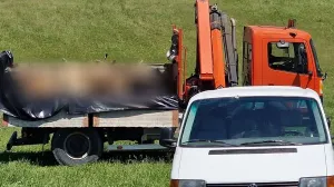 Velika šteta načinjena/Crna Hronika