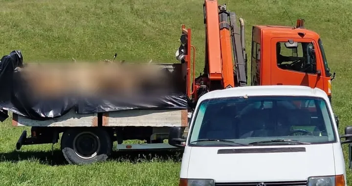 Velika šteta načinjena/Crna Hronika