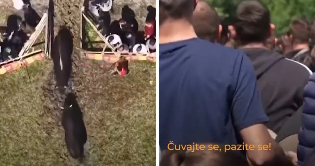 Srećm, niko nije povrijeđen/Al Jazeera Balkans