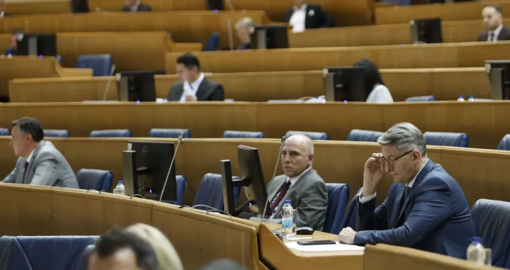 Predstavnički dom PSBiH/Fena