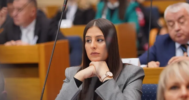 Tanja Vukomanović, pdp, NSRS/