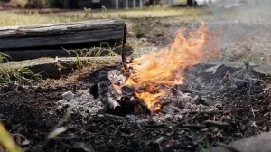 Ipak treba biti oprezan/Ronan Furuta