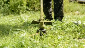 Žrtvu napao trimerom/Ilustracija/Agencije//