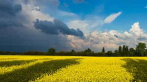 Stiže promjena vremena/Kostiantyn Stupak