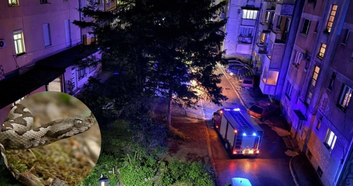 Brzom reakcijom je uklonjena/