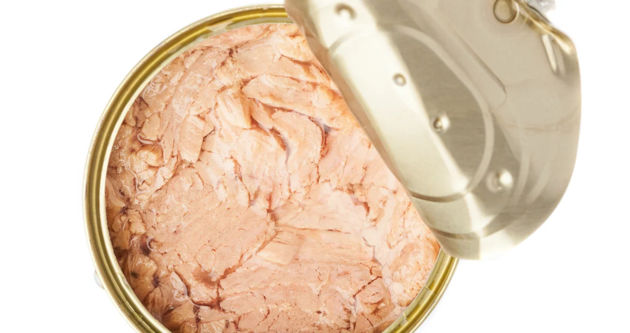 Jednostavni recepti s konzervom tune/Freepik