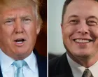 Musk Trump/