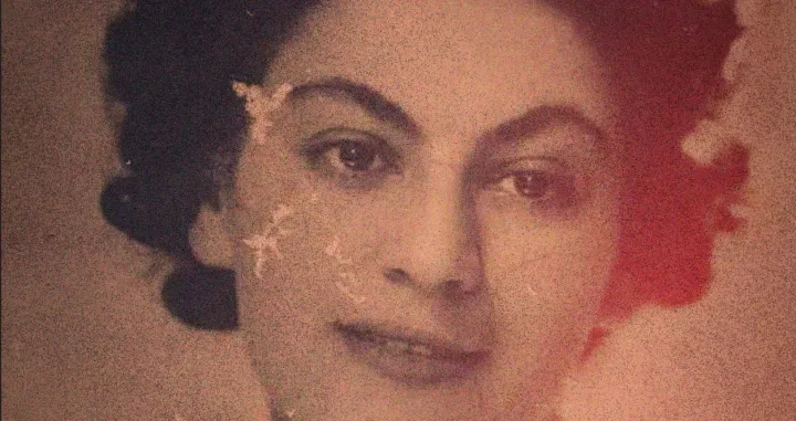 Knjiga "Iz Belzena" Hane Levi/Boris Stapic