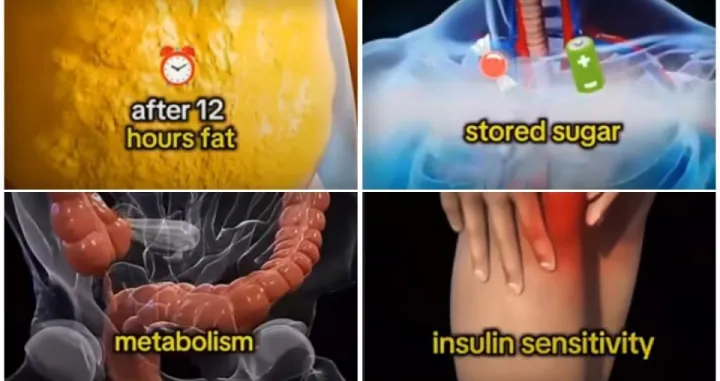 YouTube/Wellness Wise/f gd/Youtube/wellness Wise