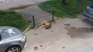 Screenshot/ Facebook/