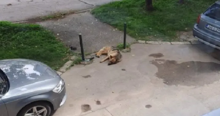 Screenshot/ Facebook/