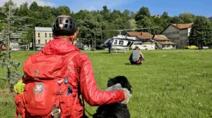 Spasioci na nogama/GSS BiH/