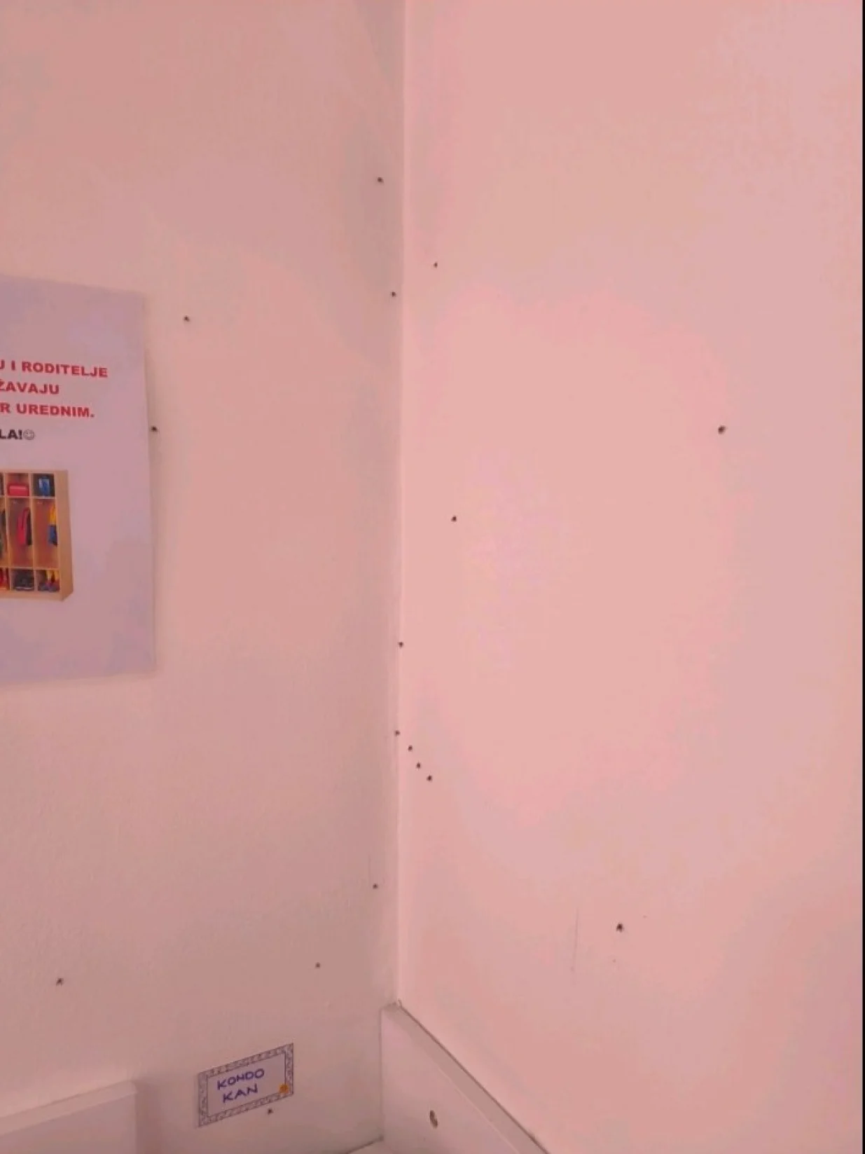 Mušice u ponedjeljak 12.05.2025/