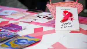 Aktivnosti Udruženje Renesansa povodom obilježavanja Ružičastog oktobra - Trg Karla Paržika ispred crkve sv. Josipa na Marijin dvoru u Sarajevu/Damir Deljo