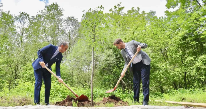 Luigi Soreca posadio lipu u Aleji ambasadora u Sarajevu//
