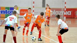 Sportske igre mladih