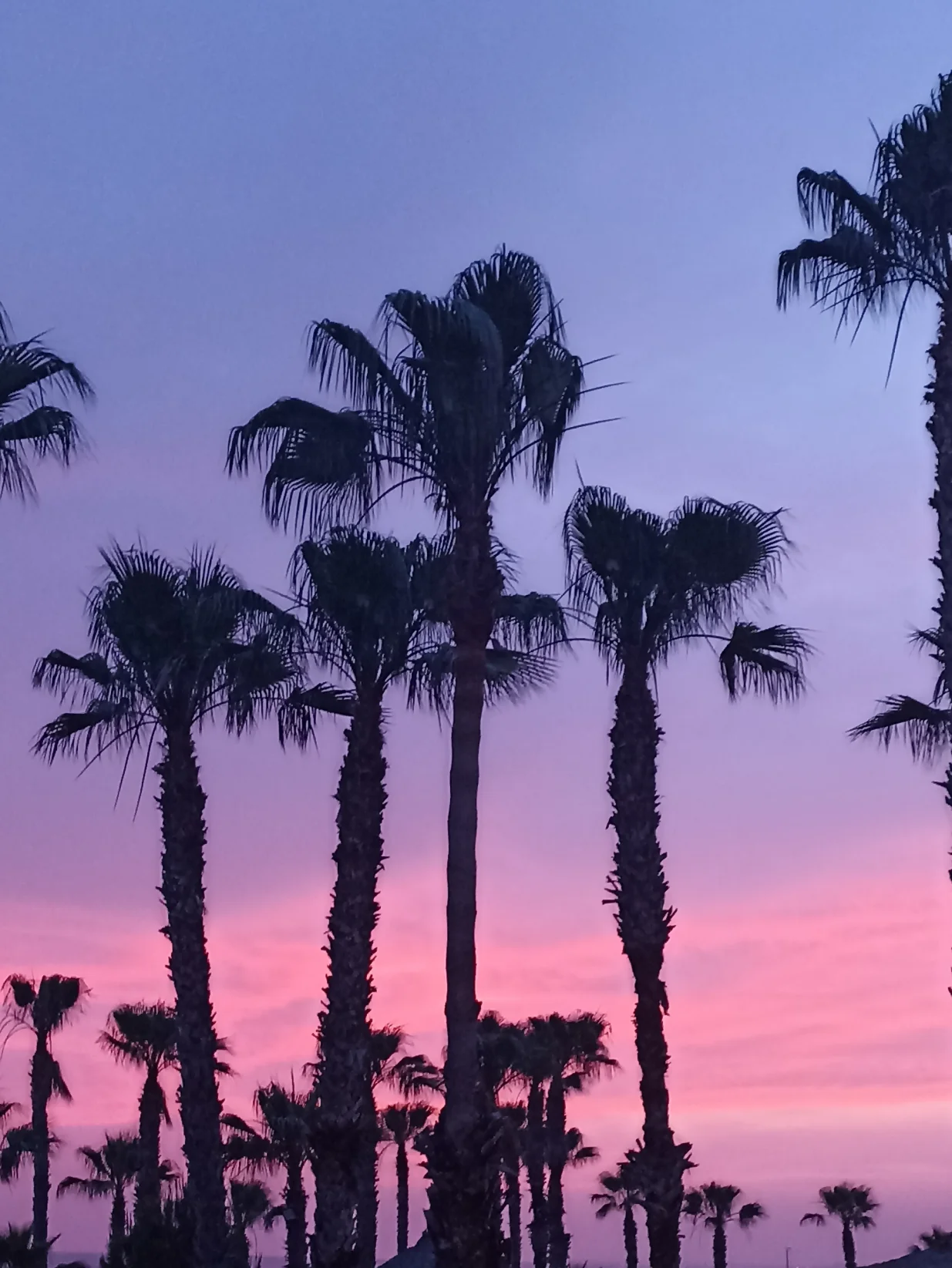 Justiniano Club Park Conti/Matea JerkoviĆ