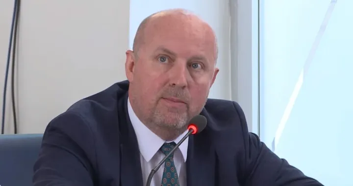 Enis Hasanović/Screenshot