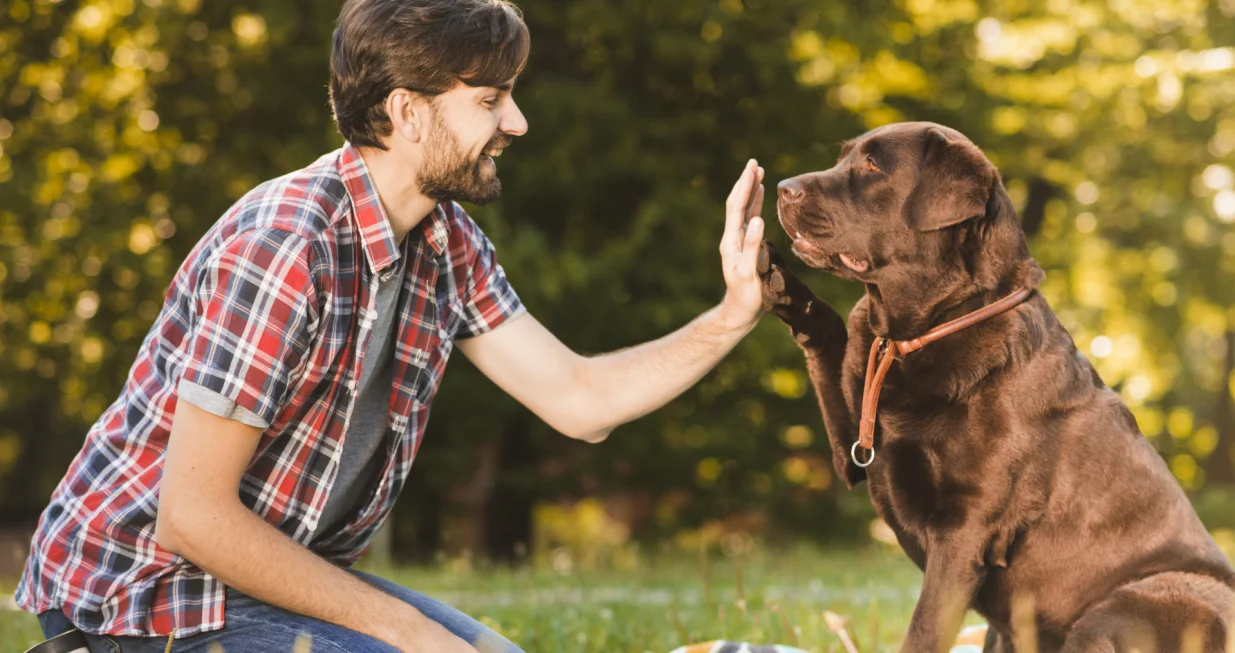 Ovo je 8 načina na koje vam pas daje do znanja da vas obožava/Freepik