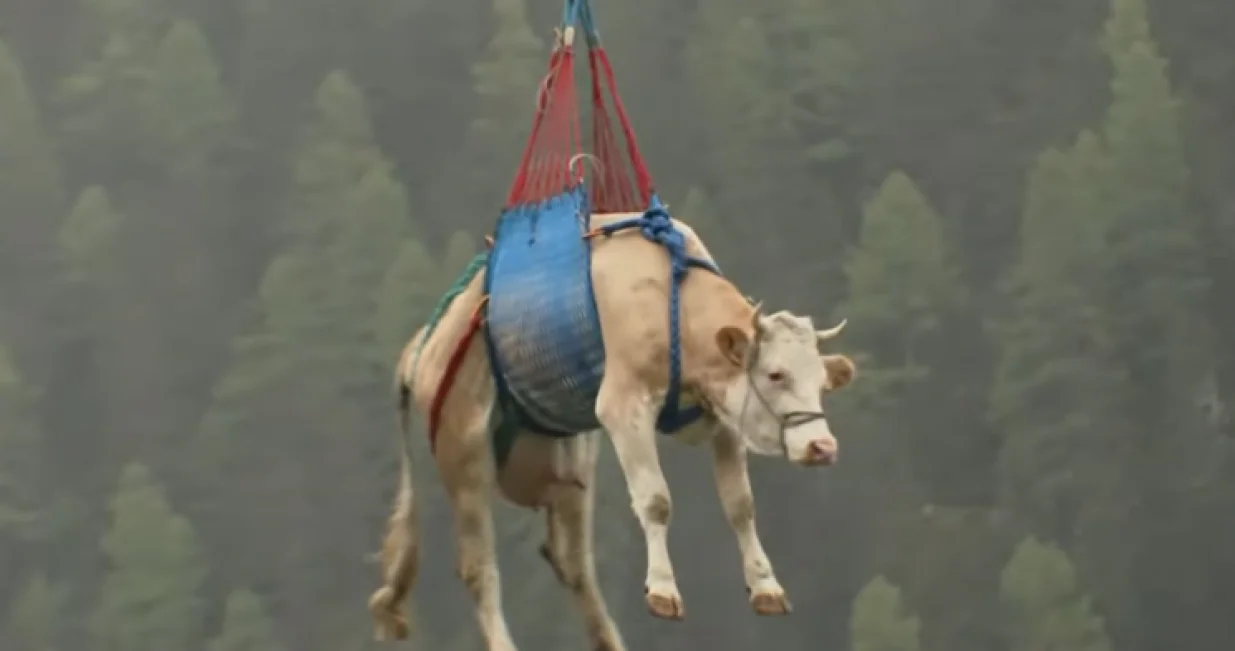 Screenshot/ Youtube/