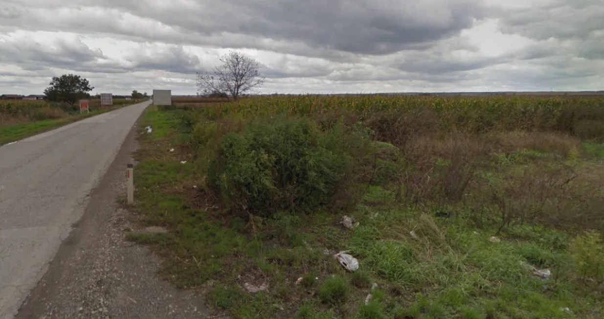 Selo, trava, seoski put, zarasla trava, divljina, pustoš/Ilustracija