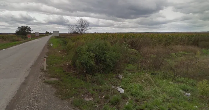 Selo, trava, seoski put, zarasla trava, divljina, pustoš/Ilustracija