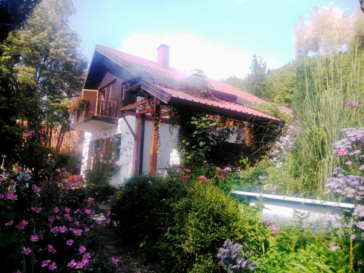 Vrt u jesenjem izdanju, pun medonosnih biljaka/