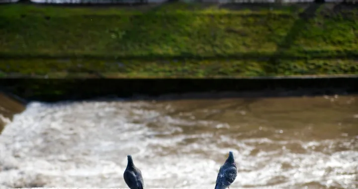 Vedro poslije kiše mart 2025/Damir Deljo