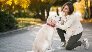 Jednostavna metoda za smirivanje ljubimca bez riječi/Freepik