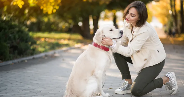 Jednostavna metoda za smirivanje ljubimca bez riječi/Freepik