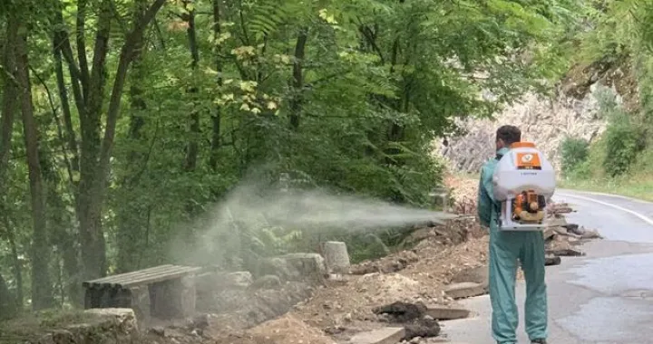 Stari Grad - deratizacija/