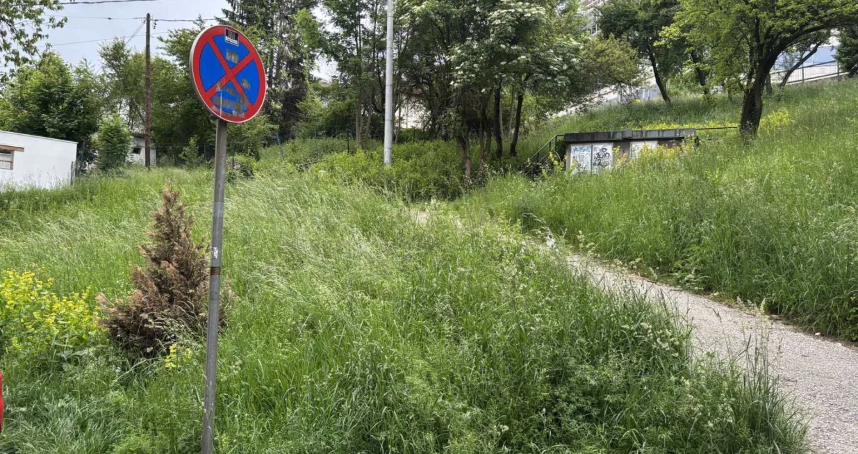 trava, košenje, park/Nedim Fetahović