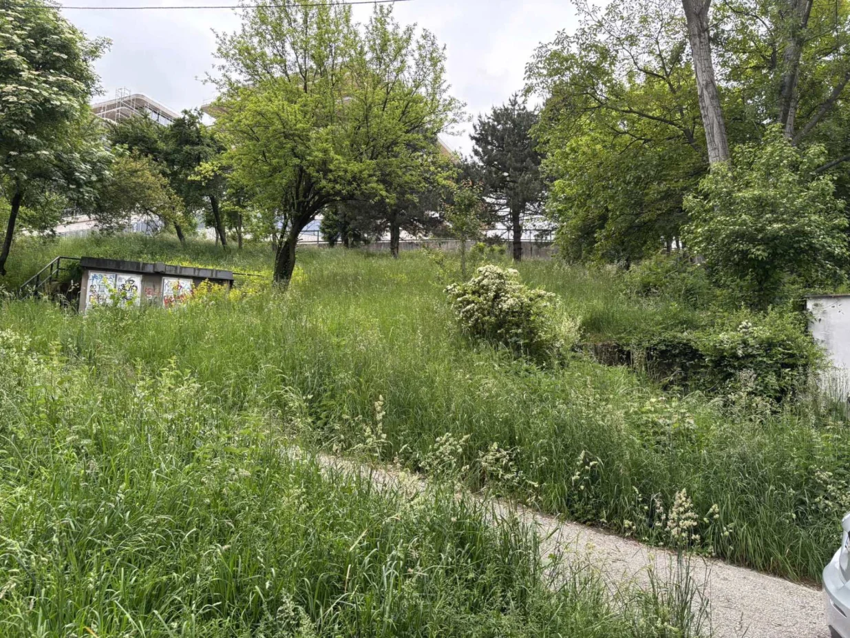 trava, košenje, park/Nedim Fetahović