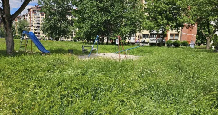 leptospiroza, park, trava, novi grad, sarajevo/