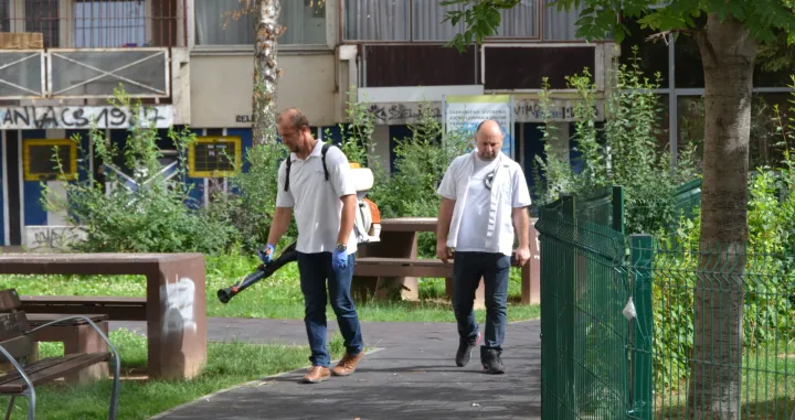deratizacija novo sarajevo/