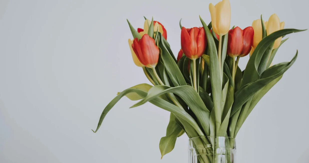 Vaš buket cvijeća zaslužuje da traje duže/Pexels