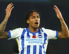 Joao Pedro (FOTO: Brighton)