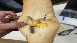 Droga u hljebu/Pu Metković