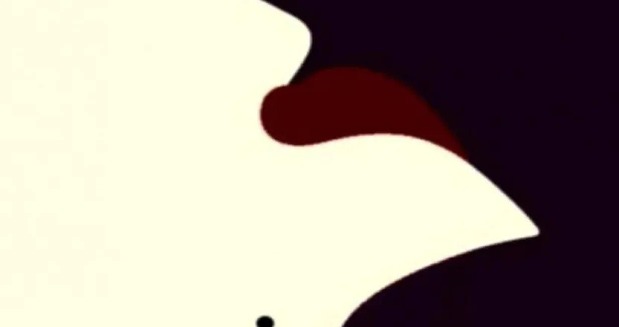 Šta ste prvo vidjeli?/