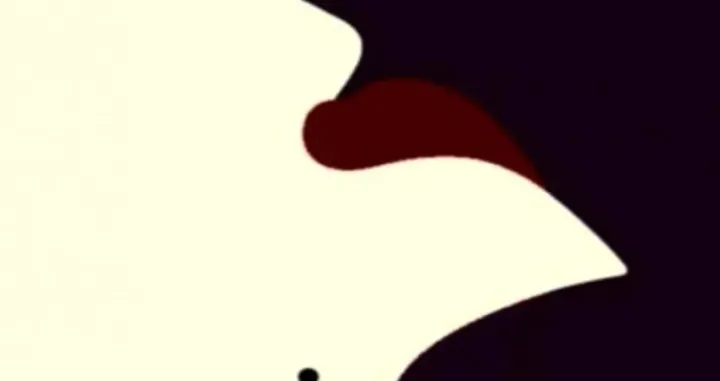 Šta ste prvo vidjeli?/