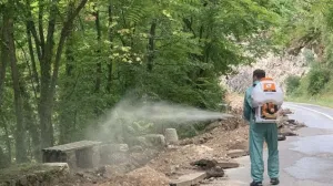 Stari Grad - deratizacija/