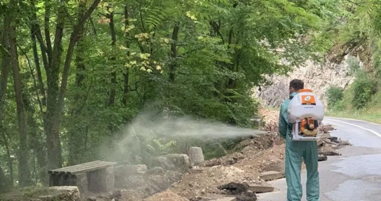 Stari Grad - deratizacija/