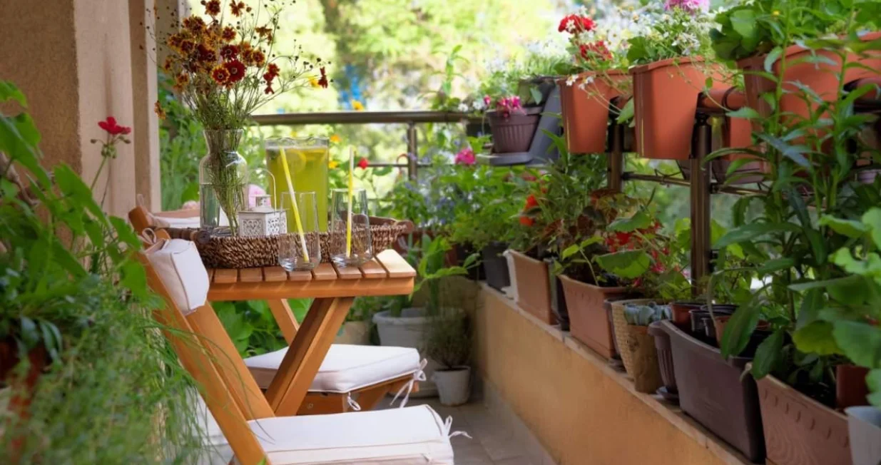 balkonsko cvijeće balkon/