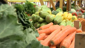 Cijene divljaju, plate i penzije stagniraju/