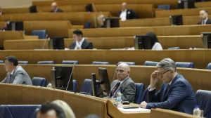 Predstavnički dom PSBiH/Fena