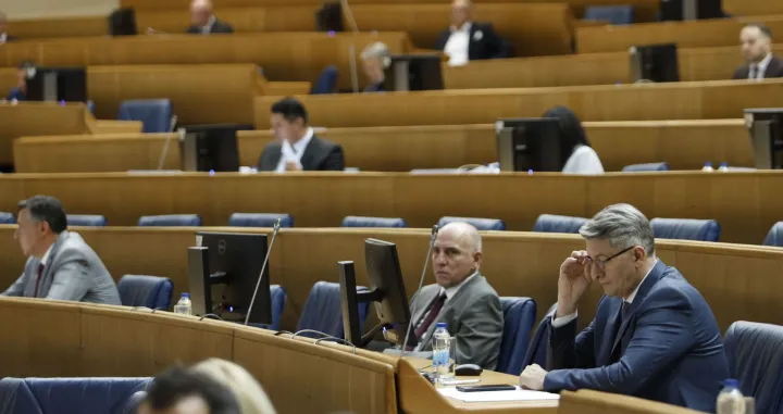 Predstavnički dom PSBiH/Fena